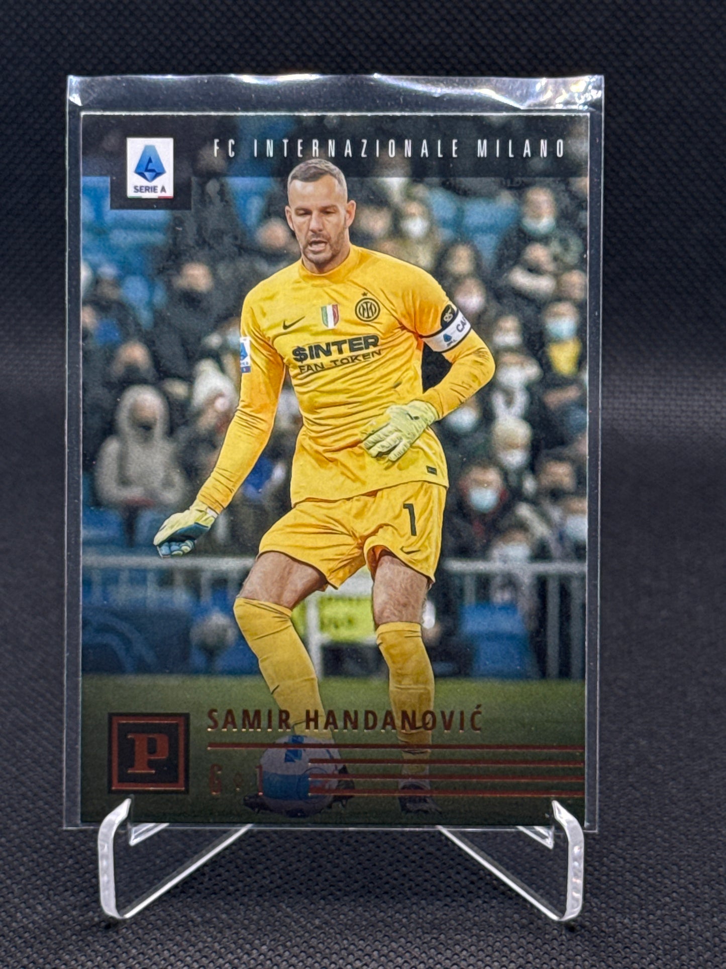 Samir Handanović – Panini Chronicles